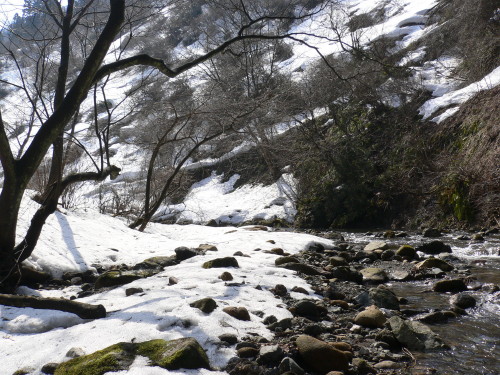 残雪の渓流